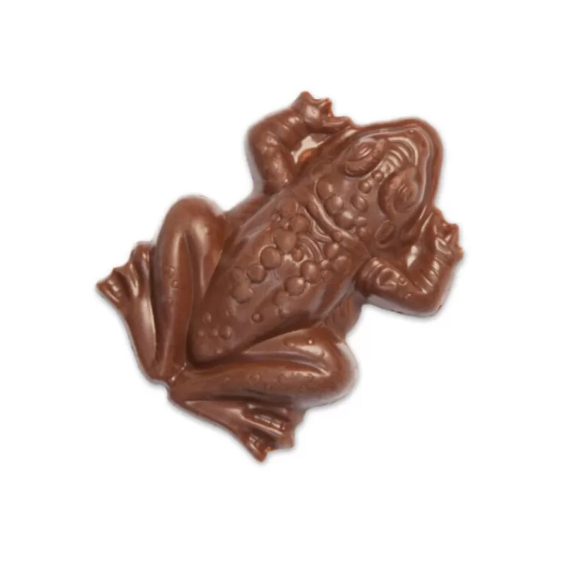 Cerf Dellier Chocogrenouille Chocolat Au Lait Et Riz Souffle - Harry Potter