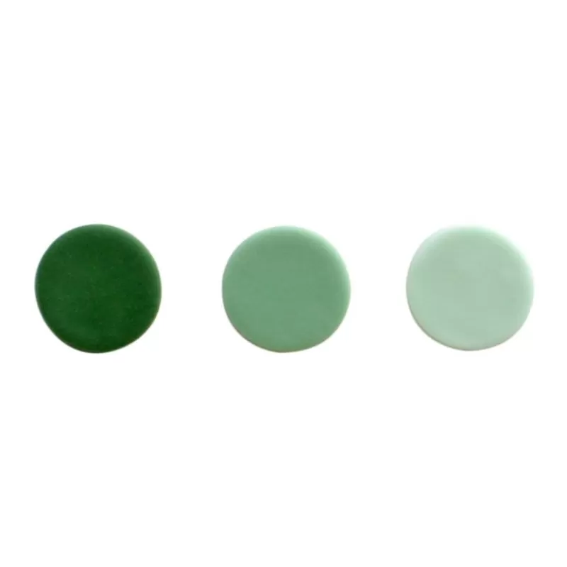 Cerf Dellier Colorant Alimentaire Naturel Vert Sapin Pme