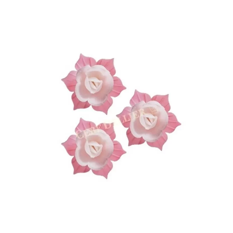 Cerf Dellier Jonquille Blanche Et Rose (X28) Flash Sale