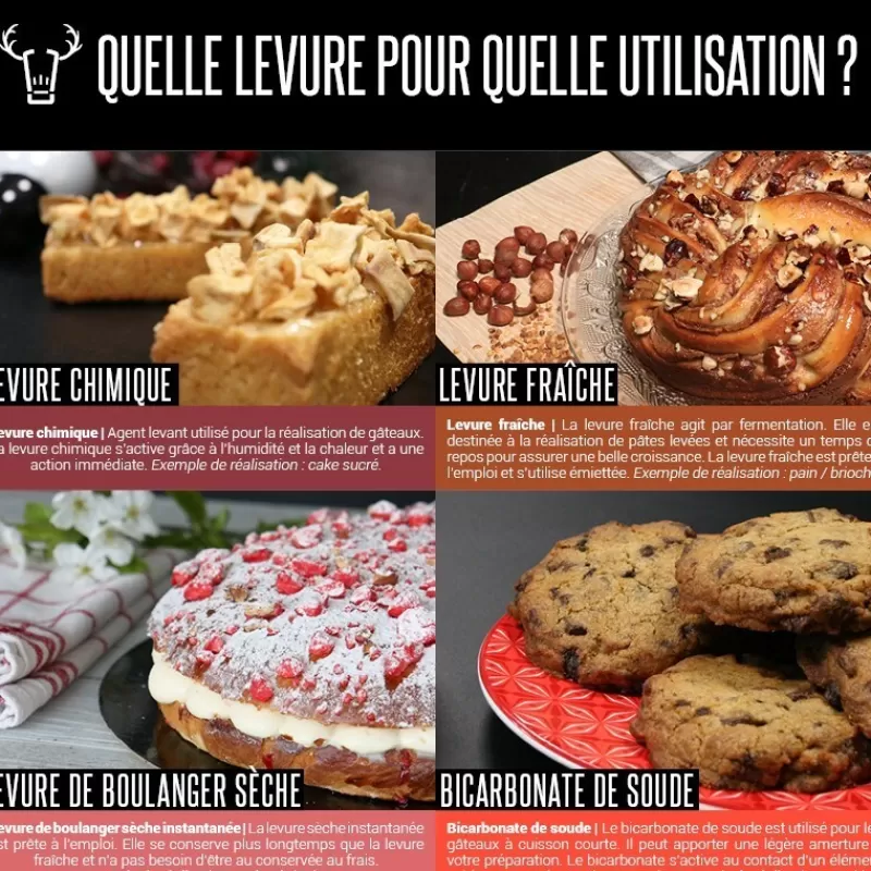 Cerf Dellier Levure De Boulanger Seche Instantanee 50 G Patisdecor - Ddm 06/23