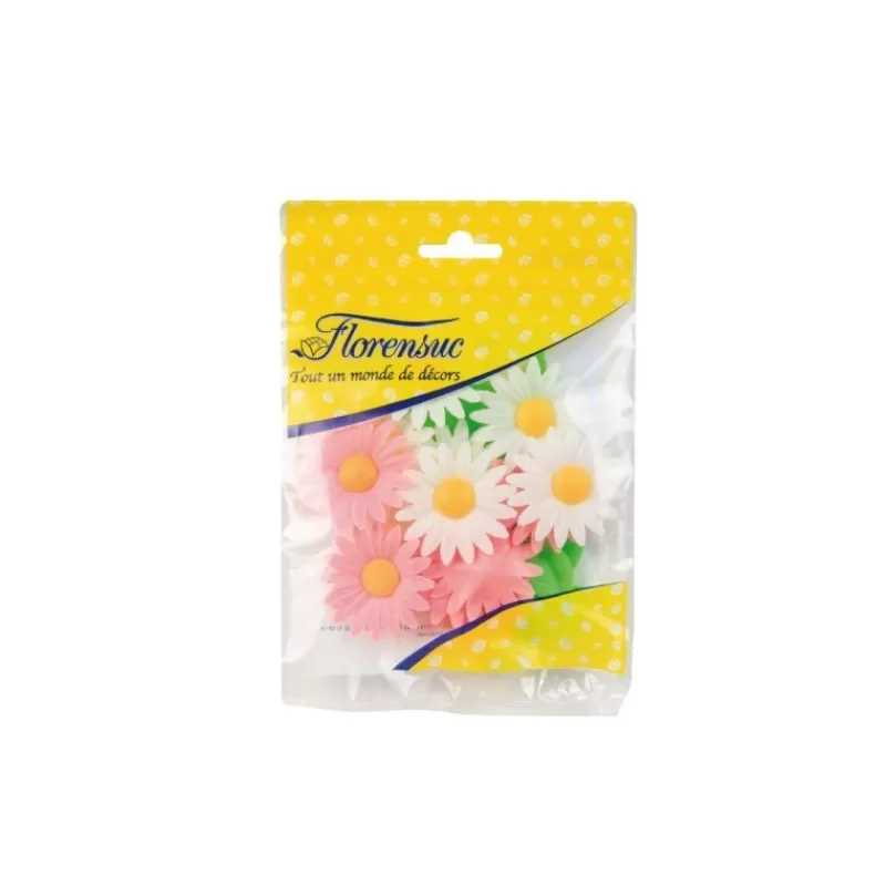 Cerf Dellier Marguerites Assorties (X12) Clearance