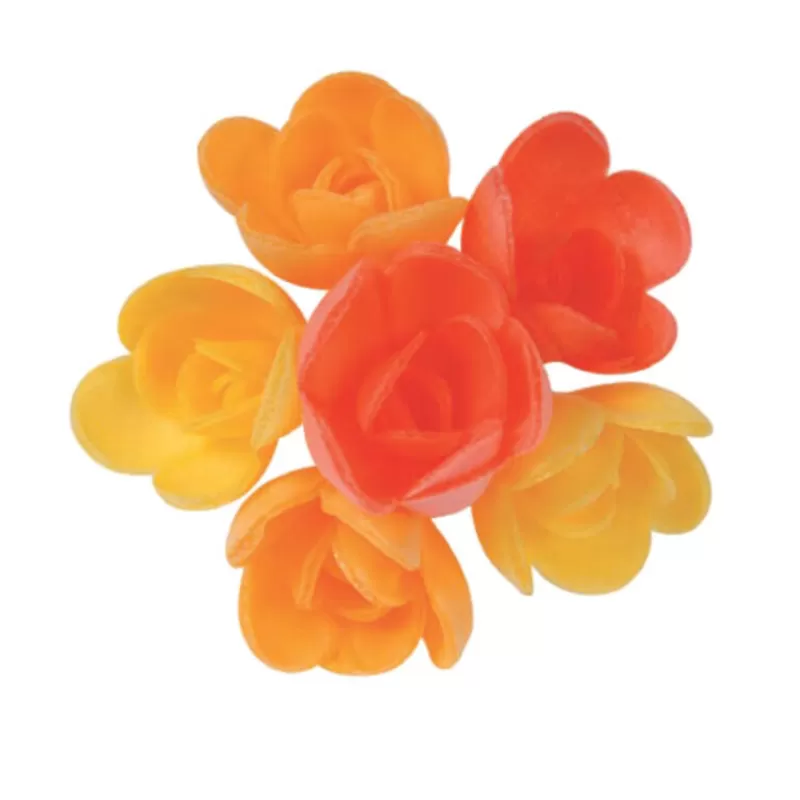 Cerf Dellier Mini-Roses Assorties Arome Fruits Exotiques (X72) Flash Sale