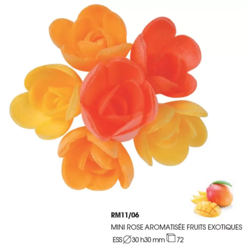 Cerf Dellier Mini-Roses Assorties Arome Fruits Exotiques (X72) Flash Sale