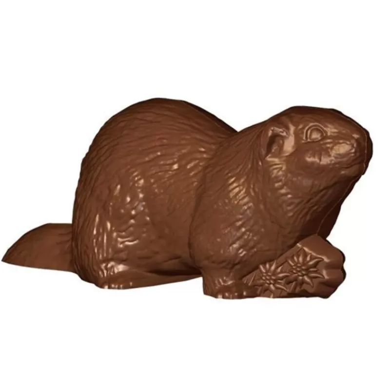 Cerf Dellier Moule Chocolat Marmottes