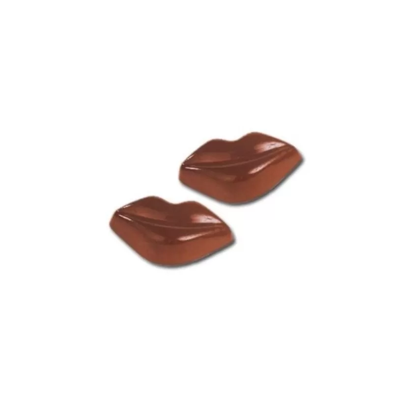 Cerf Dellier Moule Chocolats 20 Bouches