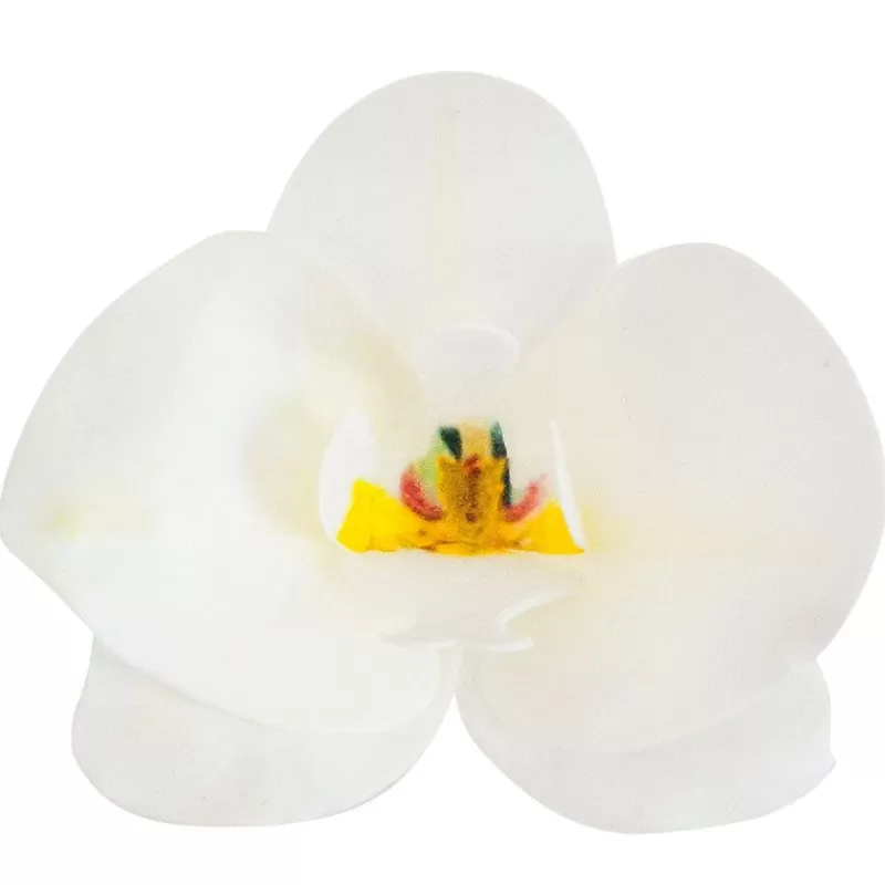 Cerf Dellier Orchidees Blanches Azyme (X10) Cheap