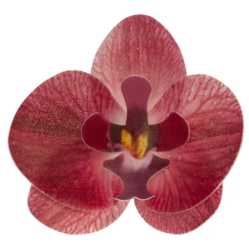 Cerf Dellier Orchidees Rouges Azyme (X10) Cheap