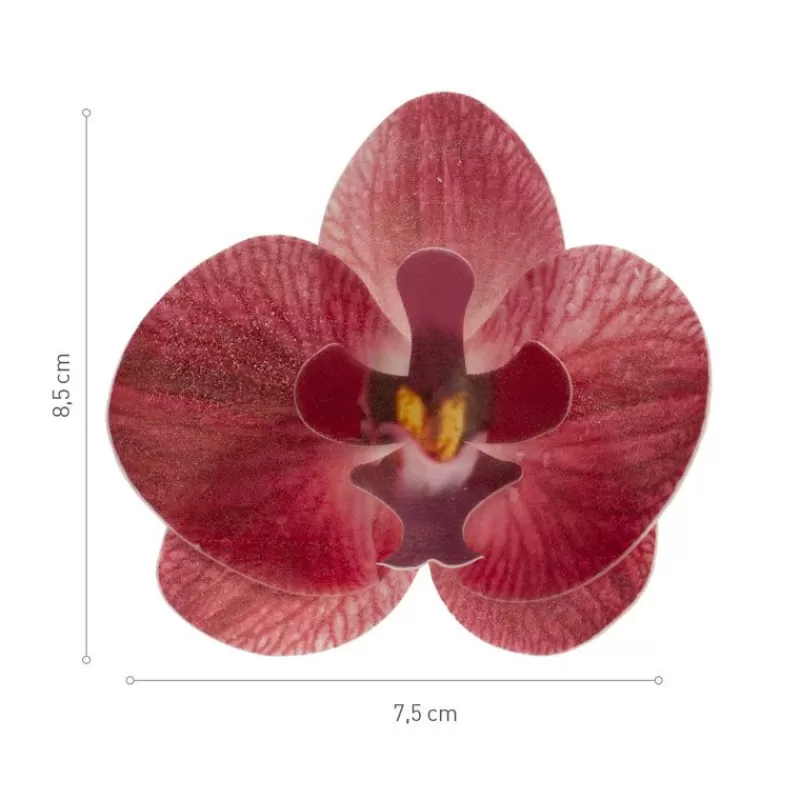 Cerf Dellier Orchidees Rouges Azyme (X10) Cheap